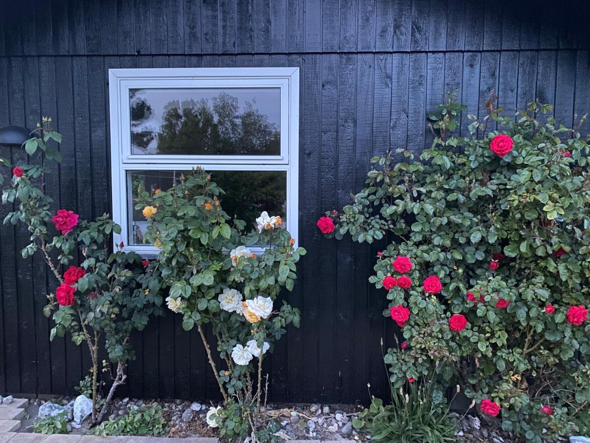Nyhus, Dragsmur, Mols Knebel ภายนอก รูปภาพ